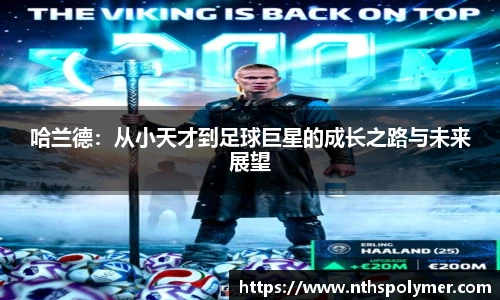 悟空体育