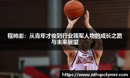程帅澎：从青年才俊到行业领军人物的成长之路与未来展望
