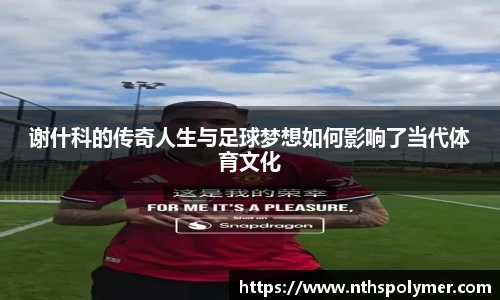 谢什科的传奇人生与足球梦想如何影响了当代体育文化