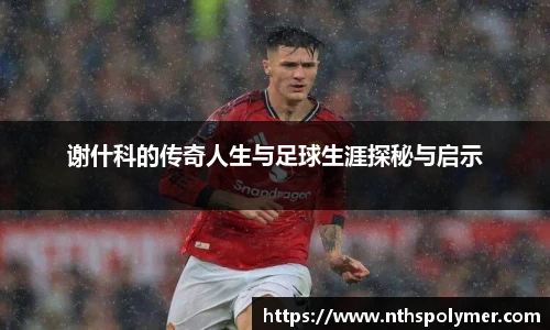 谢什科的传奇人生与足球生涯探秘与启示